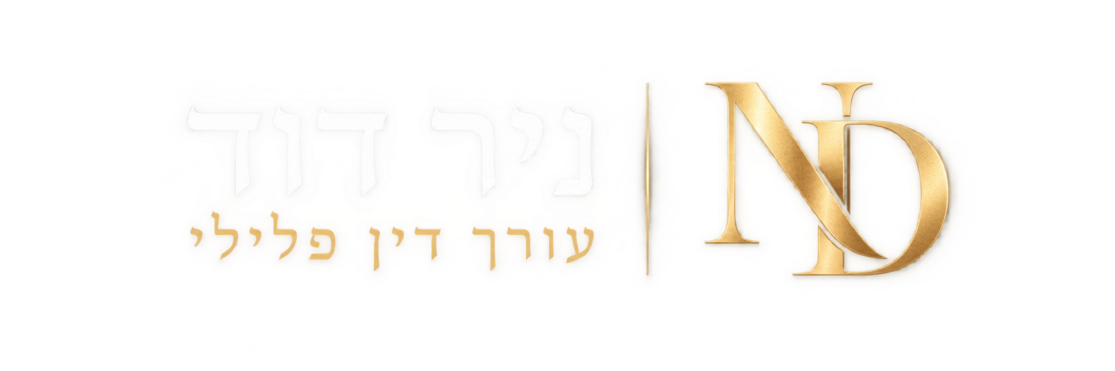 ניר דוד עורך דין פלילי